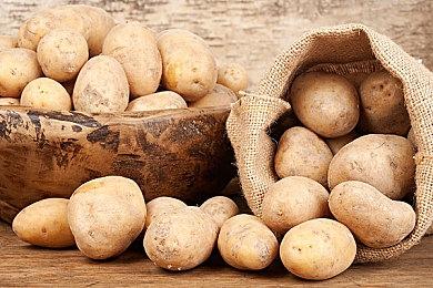 《线条小狗：动物温泉》开启夏日派对，首个季节主题DLC将于7月23日清凉登场